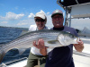 Merrimack River Striped Bass caught by Mike